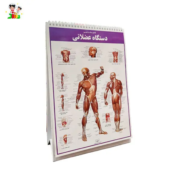 کتاب اطلس کالبد شناسی(آناتومی) بدن انسان | اندیشه کهن